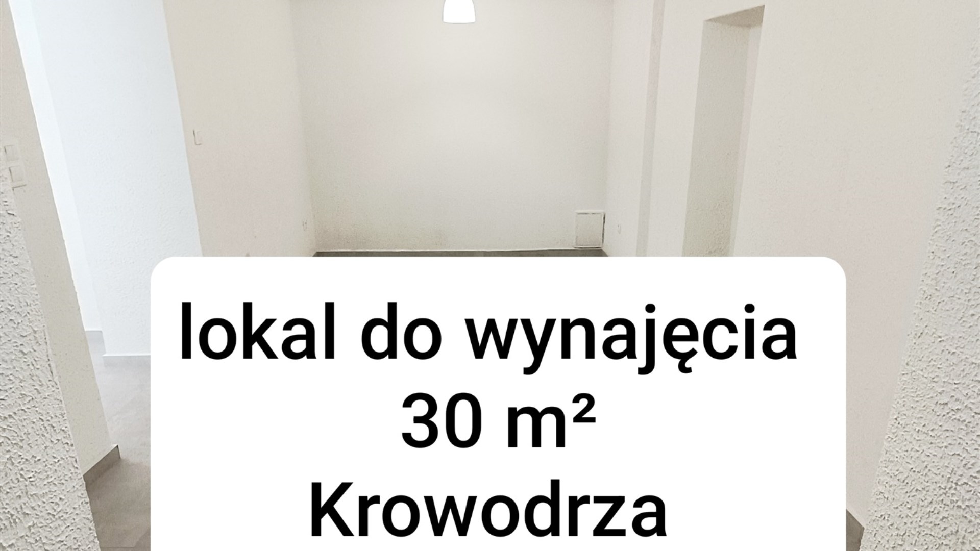 Lokal na wynajem