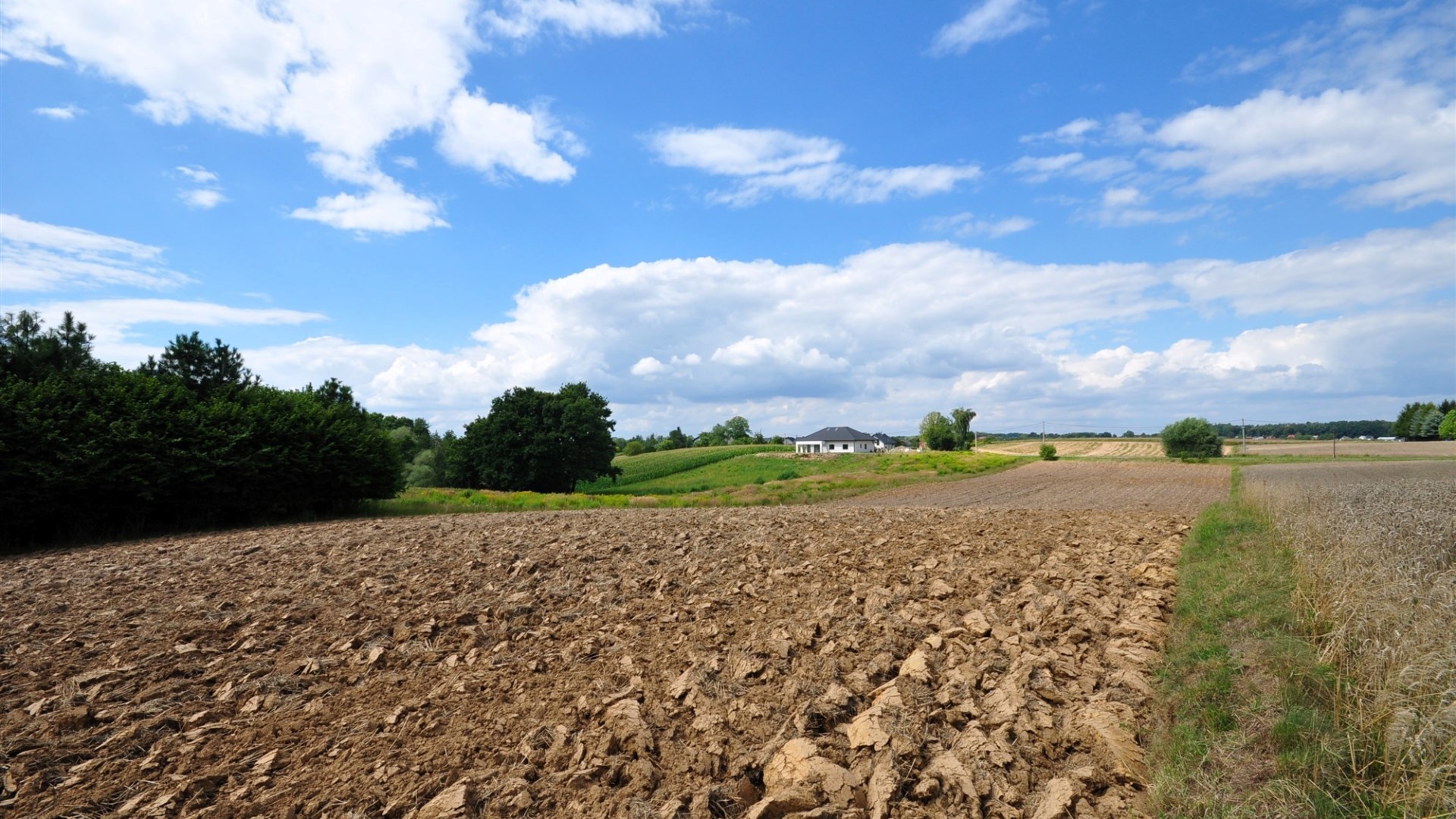 Działka na sprzedaż