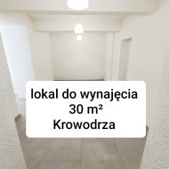 Lokal na wynajem
